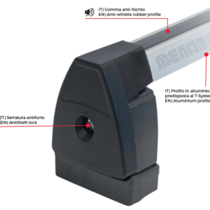 גגון לרכב טסלה 3